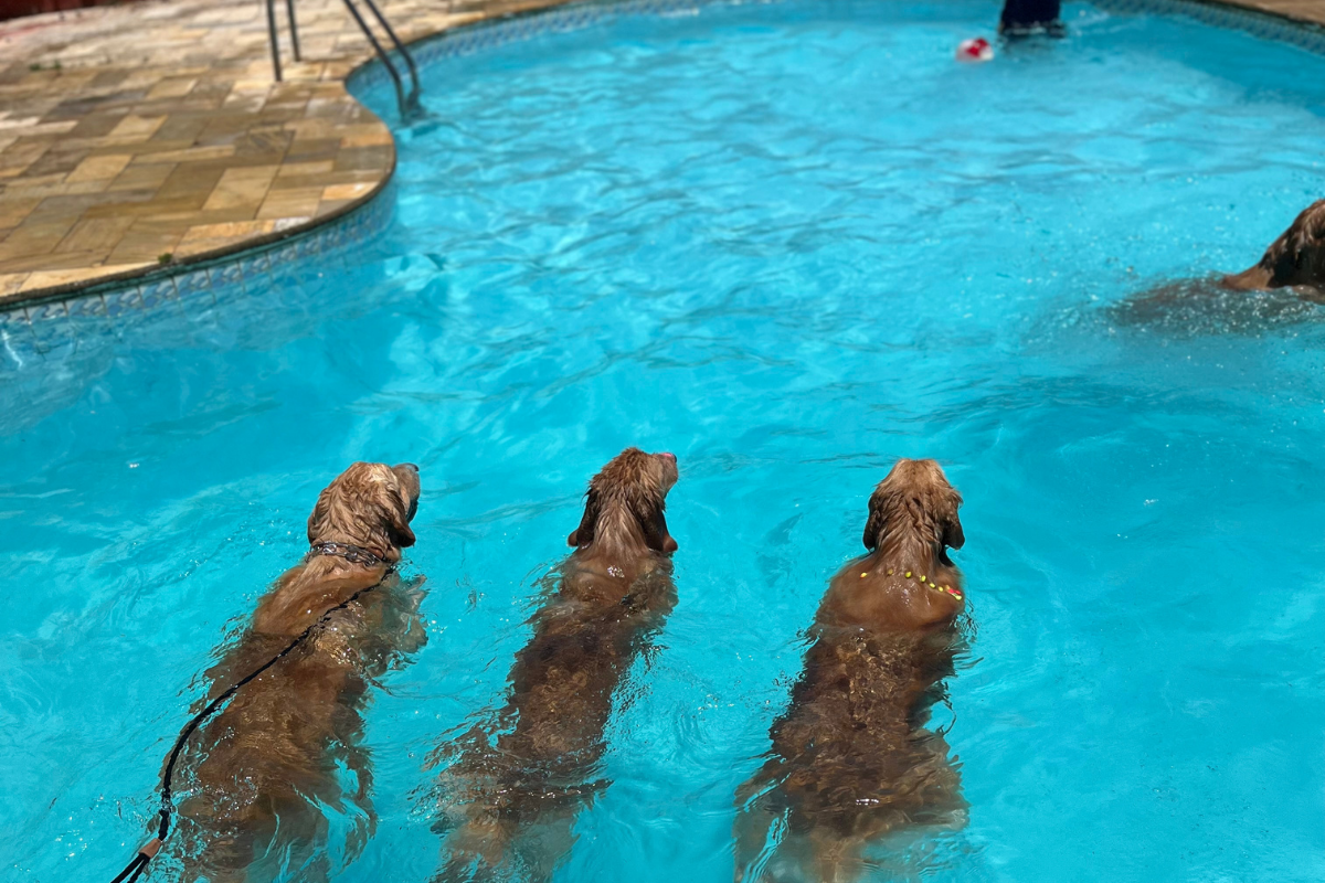 Área externa 900m²