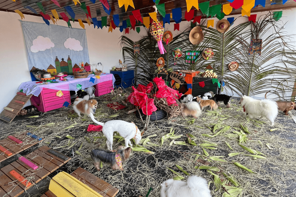 Área interna climatizada